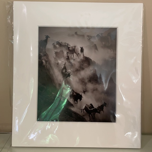 Drew Doggett Photography - Picture 6 of 8